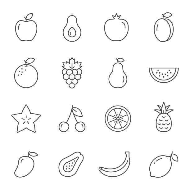 ilustraciones, imágenes clip art, dibujos animados e iconos de stock de conjunto de líneas de iconos de frutas, colección de símbolos aislados de frutas de contorno vectorial - plum grape fruit clip art