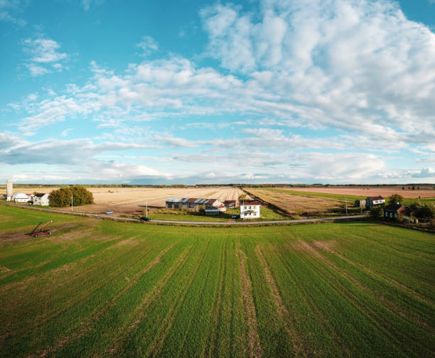 View of the green field with homes in the distance and farm buildings in forest on sunset background. Country houses in the countryside.The concept of farming and agritourism