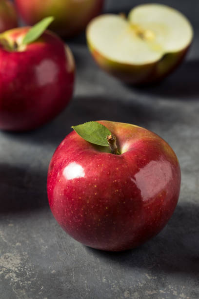 healthy organic mcintosh apples - macintosh apple imagens e fotografias de stock