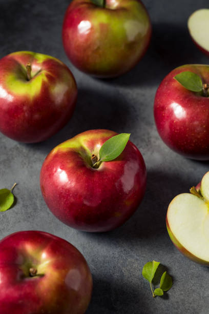 건강한 유기농 매킨토시 사과 - macintosh apples 이미지 뉴스 사진 이미지