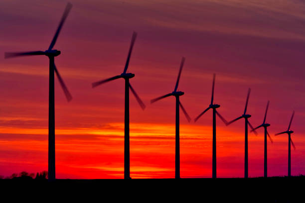 istock Iowa Wind Farm at Sunset 1357975712