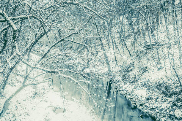 istock Midwestern creek on snowy winter day; view from the bridge 1357978301