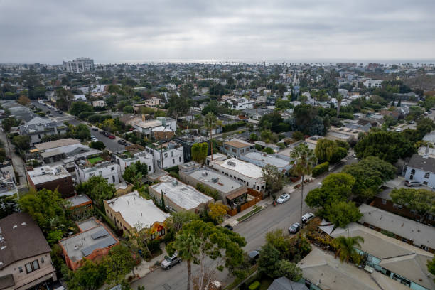 istock Aerial View Venice Beach Canals 1357981909