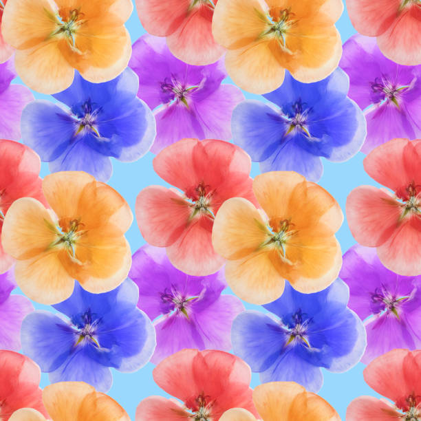 istock Geranium, pelargonium. Illustration, texture of flowers. Seamless pattern for continuous replication. Floral background, photo collage for textile, cotton fabric. For wallpaper, covers, print 1357984335