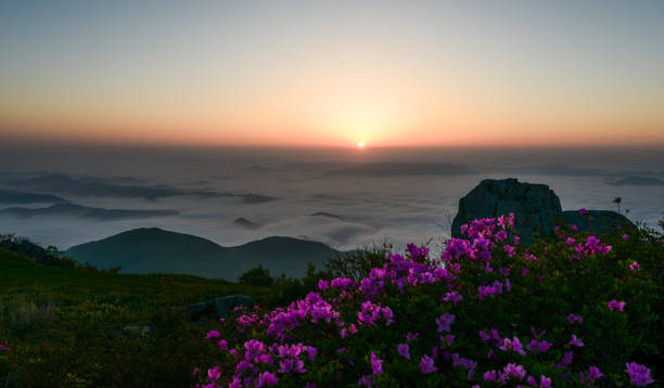 The scenery around Seoseokdae at the top of Mudeungsan National Park in full bloom with azaleas stock photo
