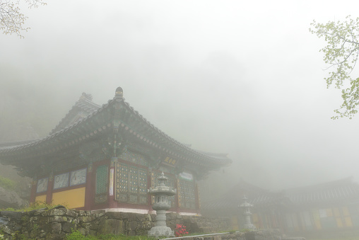 The road to Gyubongam in Mudeungsan National Park in Gwangju, covered in fog