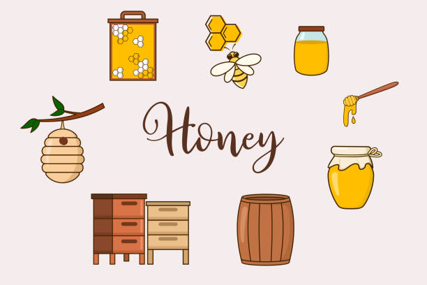 ilustraciones, imágenes clip art, dibujos animados e iconos de stock de diseño de iconos de productos de granja de miel - spoon honey cute jar