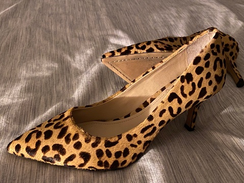 Leopard print calf hair pumps isolated on white. Classic animal print heels with sharply pointed toes.
