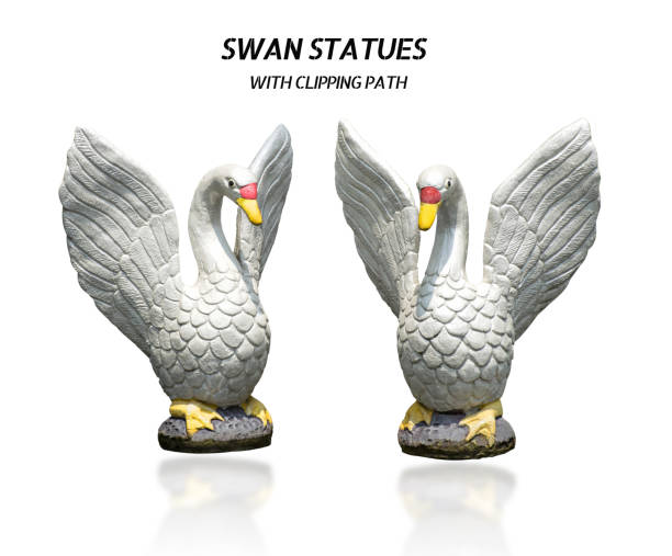 White Swan statues isolated on white background with clipping path.