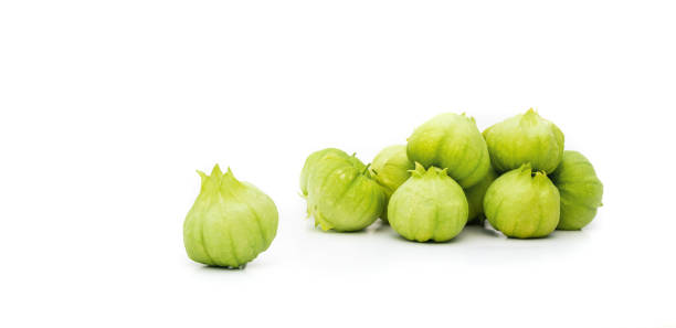 Group of tomatillos with husks. Toma Verde tomatillos also known as Mexican husk tomato and Physalis philadelphica. Used baked, roasted or boiled in salsa recipes and Mexican cuisine. Selective focus. tomatillo photos stock pictures, royalty-free photos & images