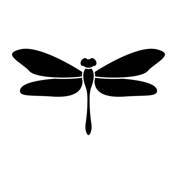 Dragonfly silhouette icon Dragonfly silhouette icon. Black simple vector of flying adder. Contour isolated pictogram on white background dragonfly stock illustrations