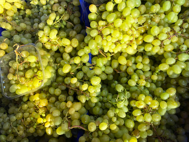 Free Stock Photo of Bunch of green grapes against dark background in ...