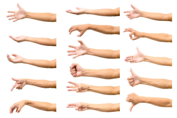 istock Set of man hand isolated on white background.Many Hands Concept. 1358005594