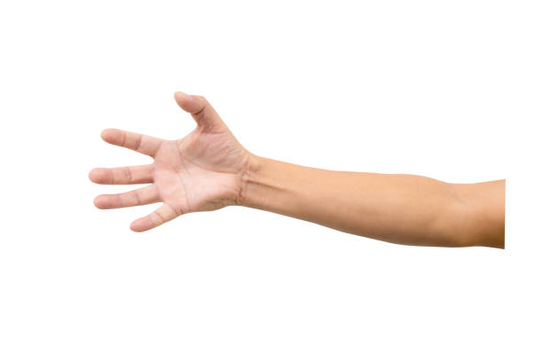 istock Sign of man hand isolated on white background.Many Hands Concept. 1358005716