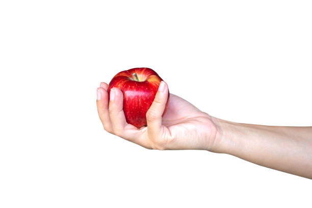 a red apple in a lady's hand isolated  on white background  with copy space
