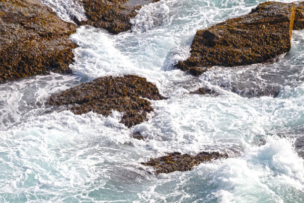 istock Rough Atlantic waters at the Icelandic coast, summertime 1358008347