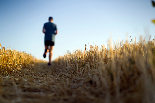 A young man jogging in the early morning at dawn, an athlete runs along the road through a wheat field.