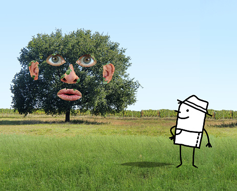 Cartoon Man watching a Funny Tree with human Face in a Green Field - Collage