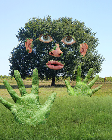 Funny Tree with human Hands and Face in a Green Field - Collage
