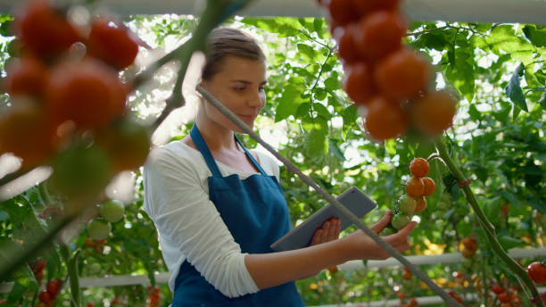istock Agribusiness owner inspecting greenhouse with tablet collecting cultivation data 1358019706