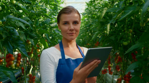 istock Botanical scientist doing research tablet cultivation tomatoes in greenhouse 1358021839