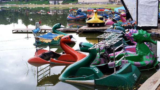 istock Duck boat or swan boat 1358026125