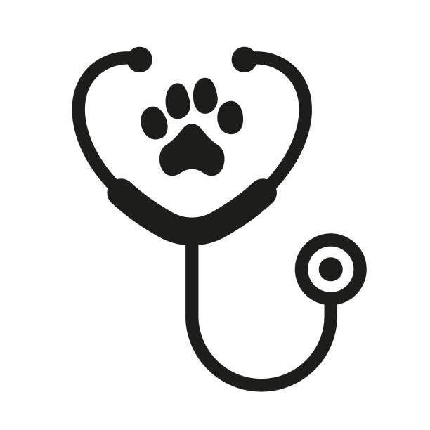 Dog Stethoscope Stock Photos, Pictures & Royalty-Free Images - iStock