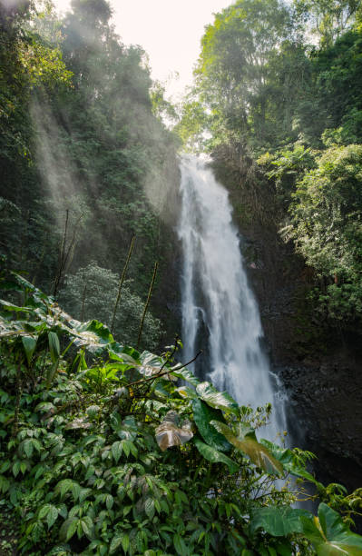 istock landscape tropic waterfall jungle fresh water 1358030620