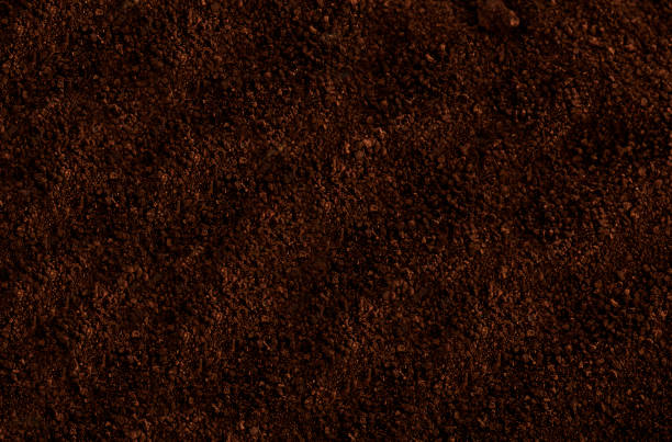 istock Natural organic manure wet mud for farming 1358030790