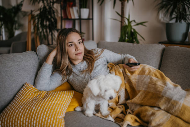Woman watching TV at home One woman, beautiful young woman watching television with her Maltese puppy on sofa at home. watching tv stock pictures, royalty-free photos & images
