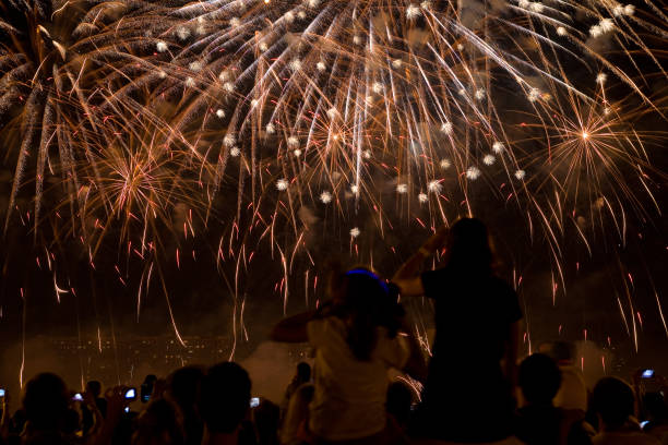 istock Beautiful fireworks in the dark evening sky. 1358031888