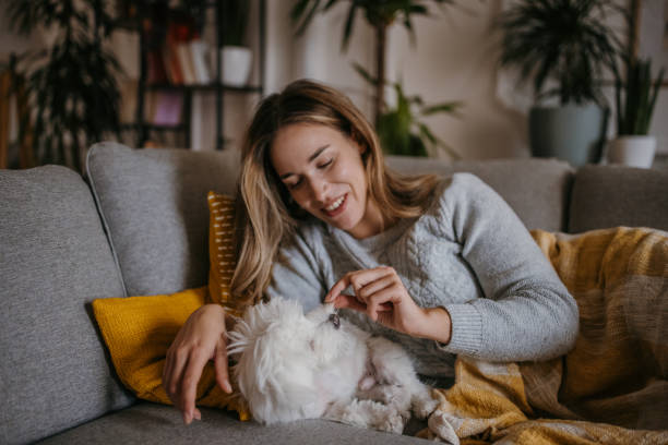 istock Woman playing with puppy 1358032104