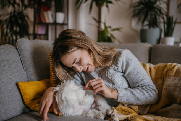 istock Woman playing with puppy 1358032257