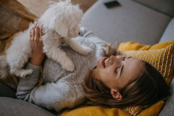 istock Woman playing with puppy 1358033062
