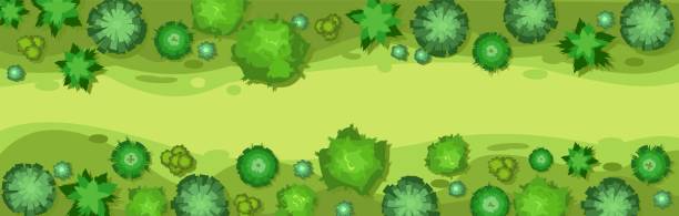 Rural road in the forest. Beautiful summer landscape with trees. View from above. Illustration in a flat style. Scenarios from above. Cartoon design. Vector.