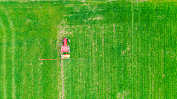 istock Aerial view on tractor as spraying field with young cereal culture using sprayer 1358035935
