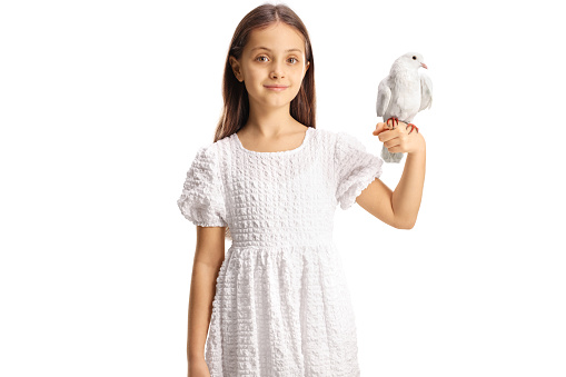 Girl in a white dress holding a dove on her hand isolated on white background