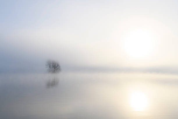 istock Mist rising up from the river IJssel during a cold winter morning 1358036695