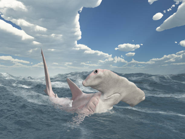 istock Great hammerhead shark on the surface of the sea 1358039054