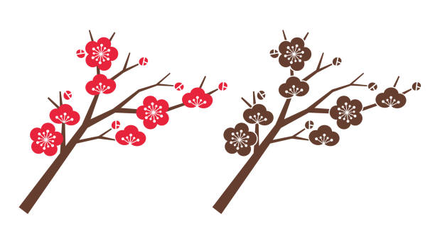 Plum blossom and tree vector art illustration