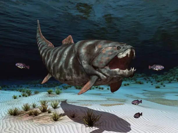 Computer generated 3D illustration with the prehistoric fish Dunkleosteus on the hunt