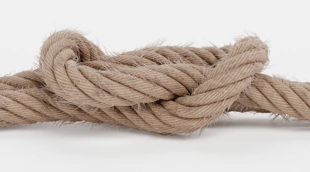 istock Realistic 3D Render of Rope 1358041368