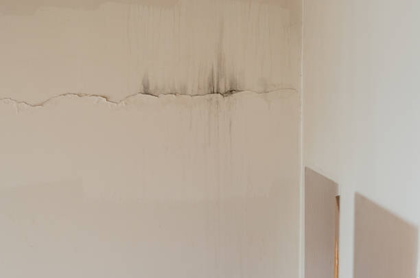 istock Crack and water leakage problem in  interior wall. Water leakage problems in buildings. 1358042305