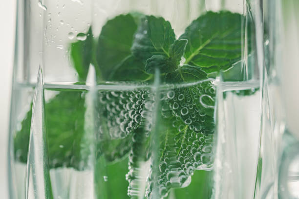 versare acqua gassata in un bicchiere all'interno delle foglie di menta - homewares rustic herbal tea herb foto e immagini stock