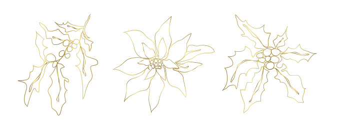 winter set of seasonal flower (poinsettia, holly, mistletoe). hand-drawn illustration in the style of one line. modern wallpaper in gold. for print, wall pano, banner, card, holiday idea. vector floral  art illustration