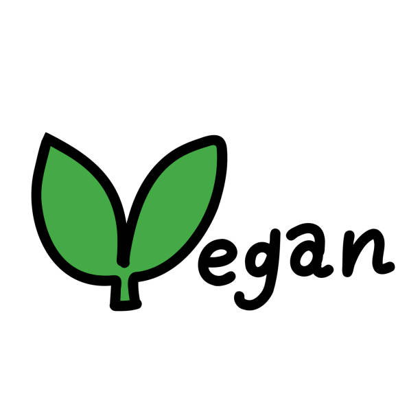 illustrazioni stock, clip art, cartoni animati e icone di tendenza di illustrazione vettoriale della parola vegan - eco tourism