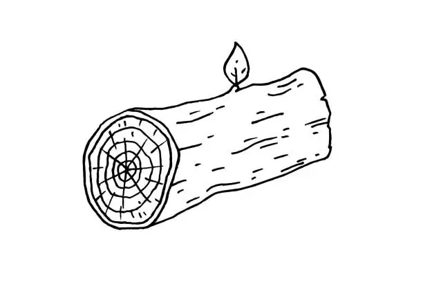 Vector illustration of Hand drawn log stock illustration