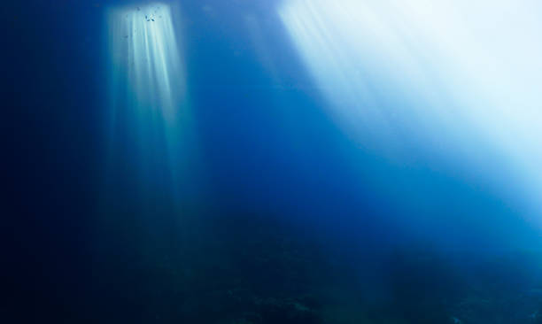 istock Cathedrals of light - rays of light underwater 1358055137