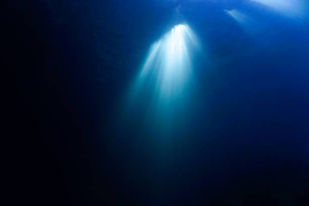 istock Cathedrals of light - rays of light underwater 1358055145