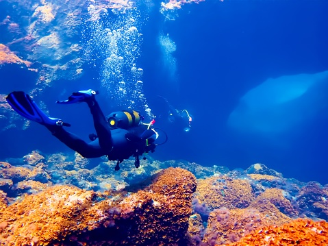 From a scuba dive at the Canary islands